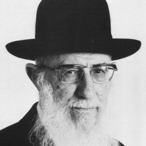 הרב חיים דוד הלוי